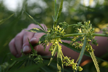 Similar image 21192224