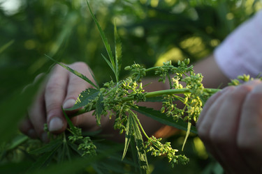 Similar image 21192225