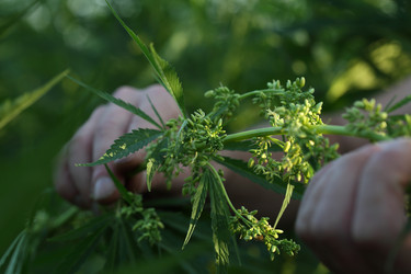 Similar image 21192227