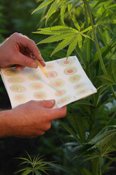 Similar image 21192230