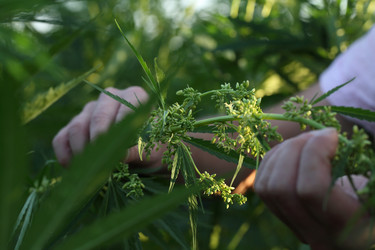 Similar image 21192231