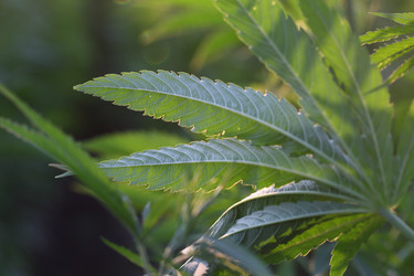 Similar image 21197182