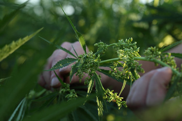 Similar image 21192232