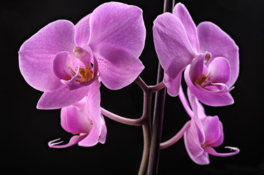 Similar image 21174935