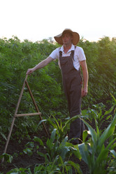 Similar image 21179787