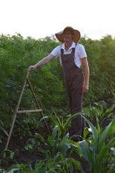 Similar image 21179990