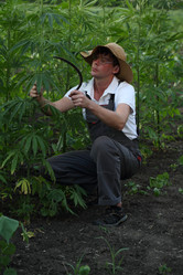 Similar image 21179991