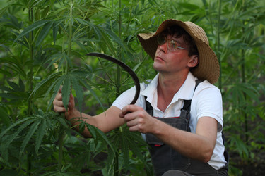 Similar image 21179992