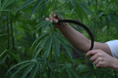 Similar image 21179996