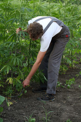 Similar image 21179997