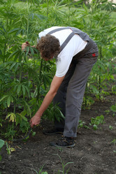 Similar image 21179998