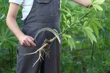 Similar image 21180000