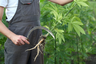 Similar image 21180001