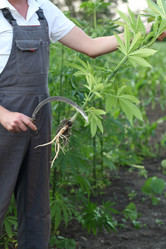 Similar image 21180002