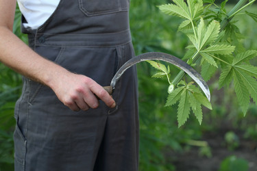 Similar image 21180003