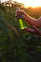 Similar image 21192235