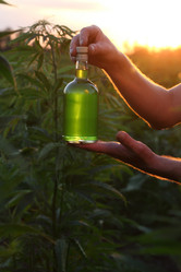 Similar image 21192236