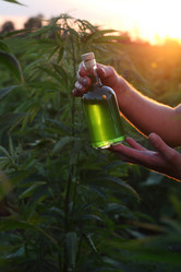 Similar image 21192237