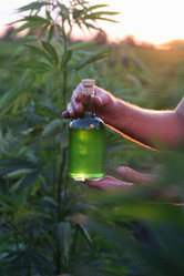 Similar image 21192239