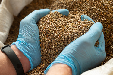 Similar image 21192247