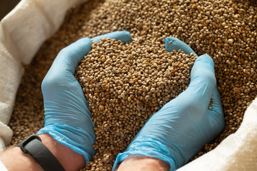 Similar image 21192248