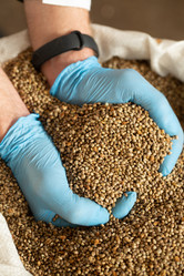 Similar image 21192250