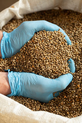 Similar image 21192251