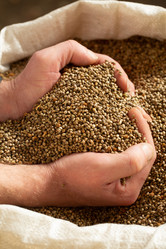 Similar image 21192253