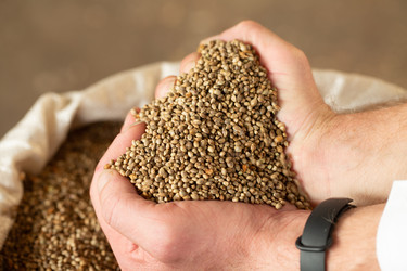 Similar image 21192255