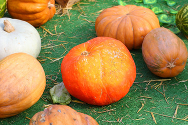 Similar image 21185263