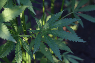 Similar image 21197189