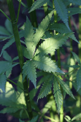 Similar image 21197191