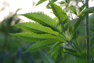 Similar image 21197192