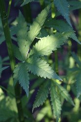 Similar image 21197193