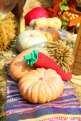 Similar image 21185264