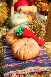 Similar image 21185265