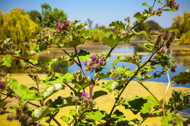 Similar image 21188720