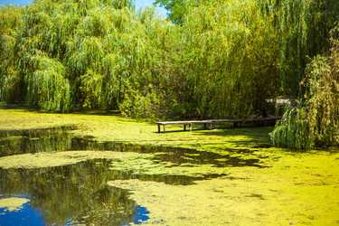 Similar image 21188721