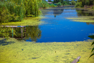 Similar image 21188723