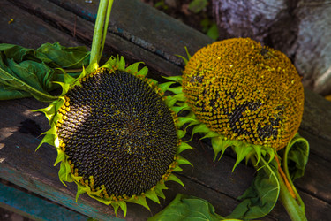 Similar image 21192265