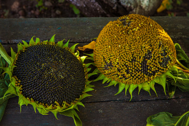 Similar image 21192266