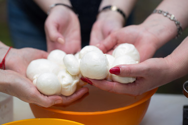 Similar image 21182547