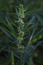 Similar image 21197195