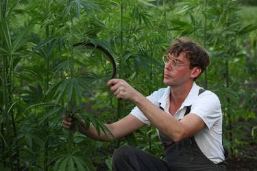 Similar image 21180044