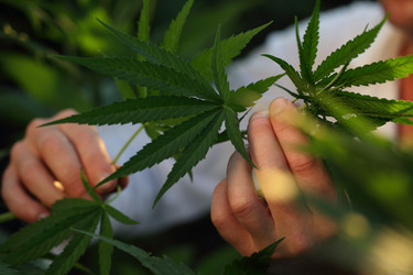 Similar image 21180045