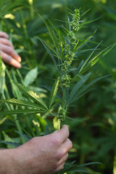 Similar image 21180047