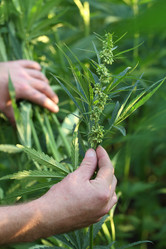 Similar image 21180048