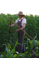 Similar image 21180049