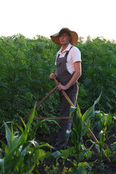 Similar image 21180050