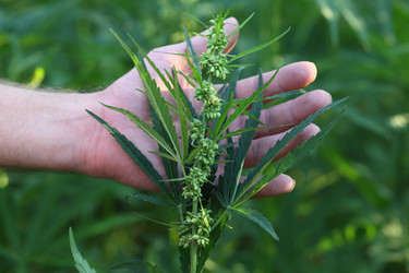 Similar image 21180051